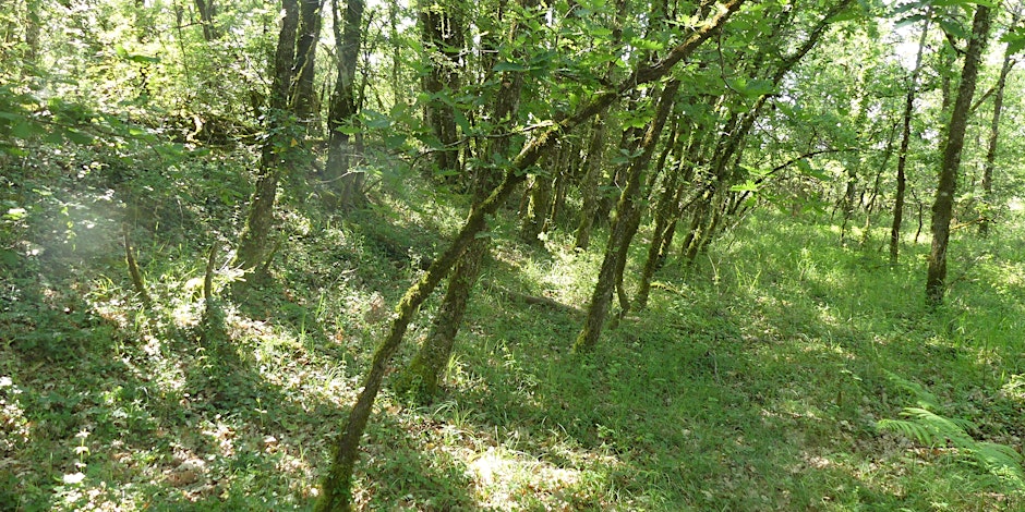Pech d'Estillac ©Département du Lot
