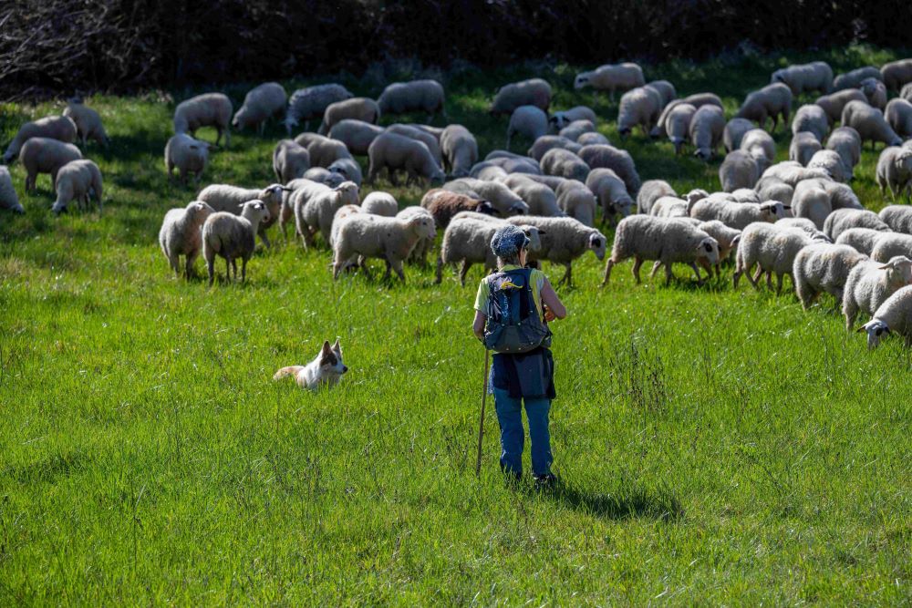 JB Dos Ramos © Département du Lot