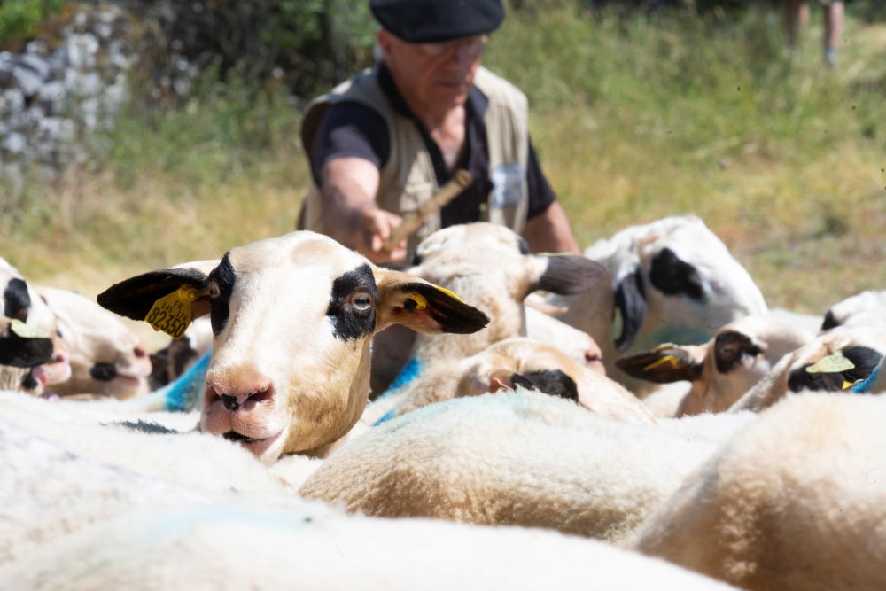 © Département du Lot