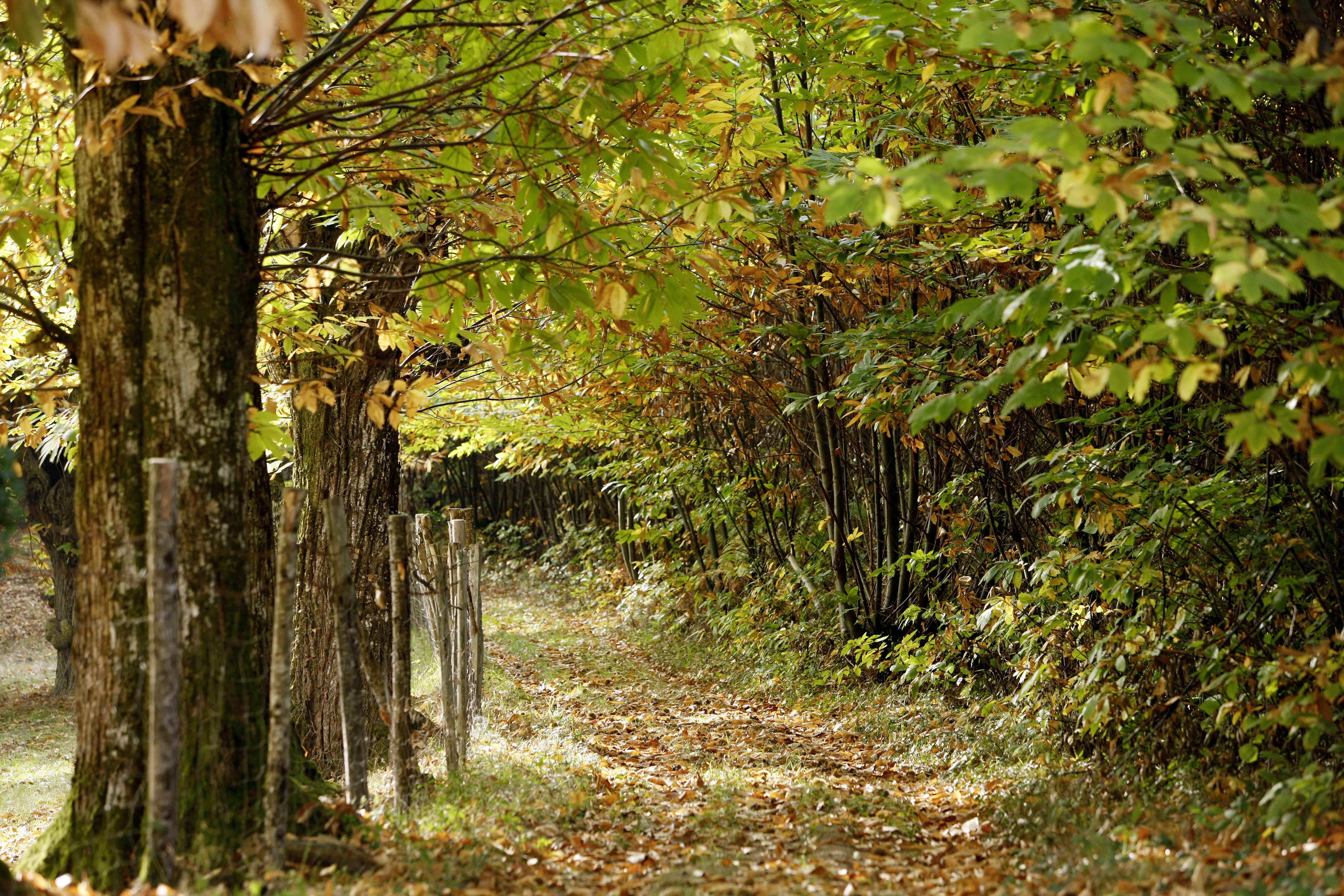 Nelly Blaya, 2008 (c) Département du Lot
