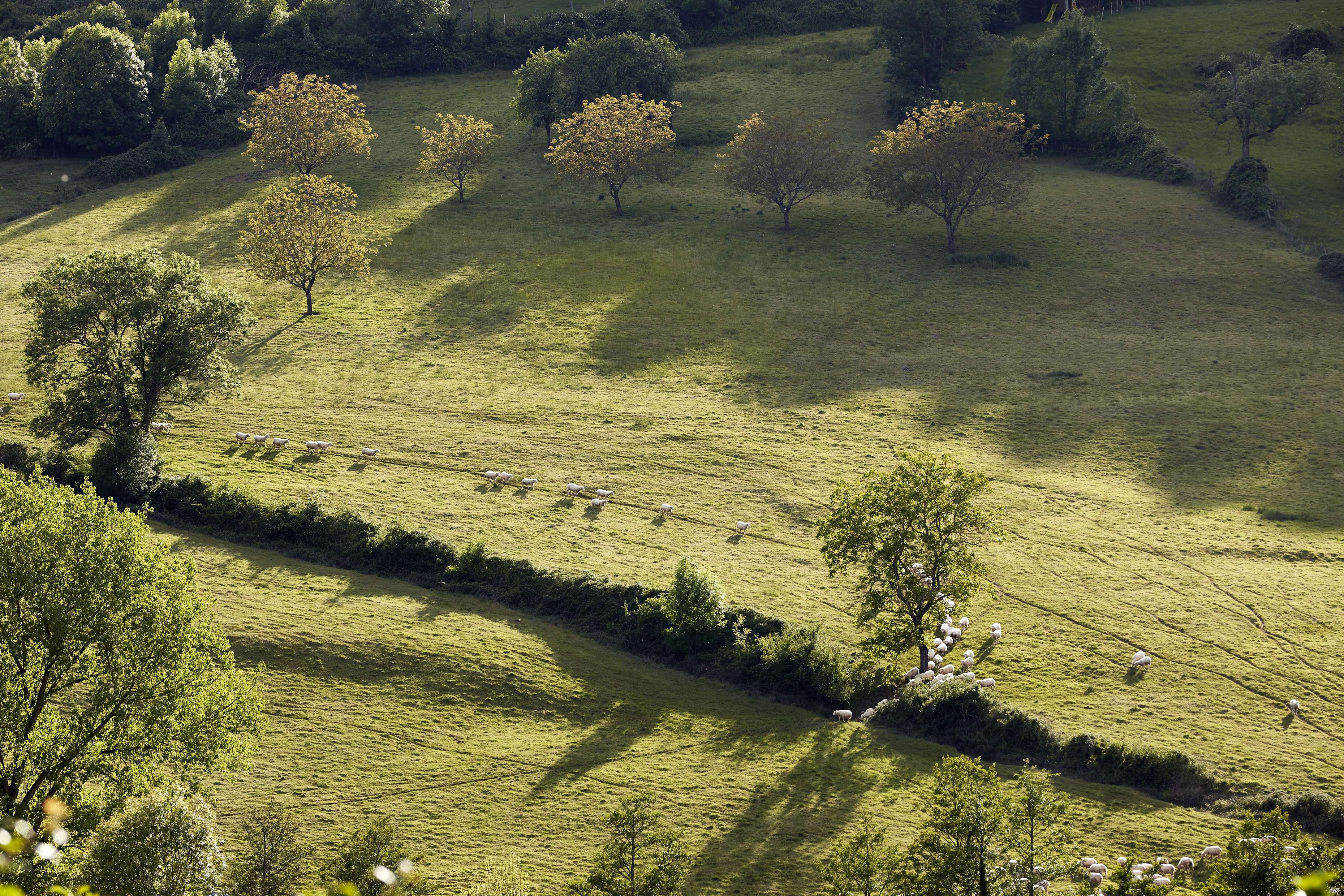 Nelly Blaya, 2017 (c) Département du Lot