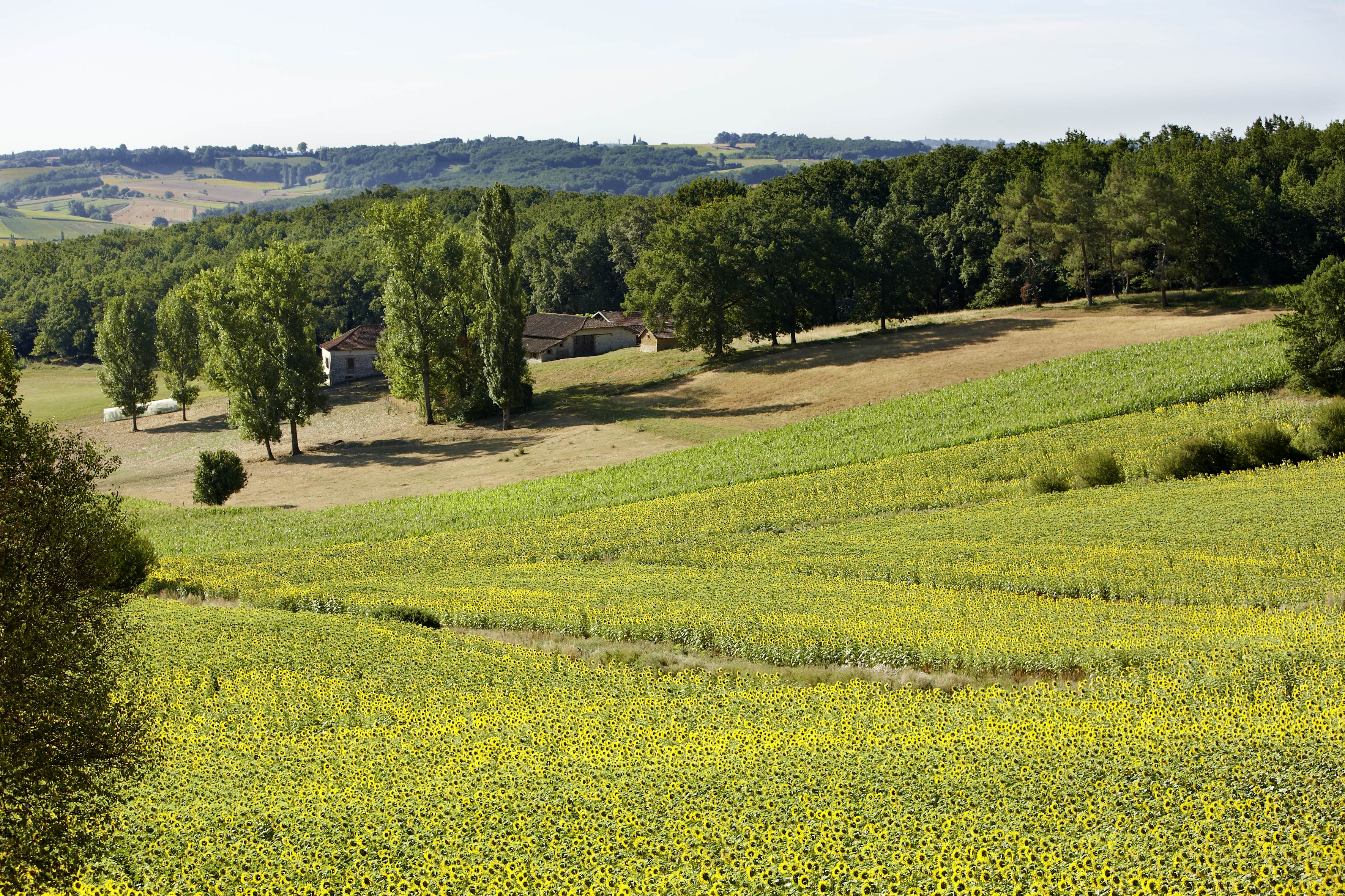 Nelly Blaya, 2009 (c) Département du Lot