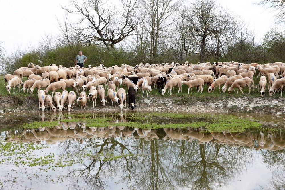 © Département du Lot