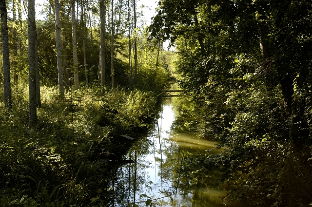 Nelly Blaya, 2003 (c) Département du Lot