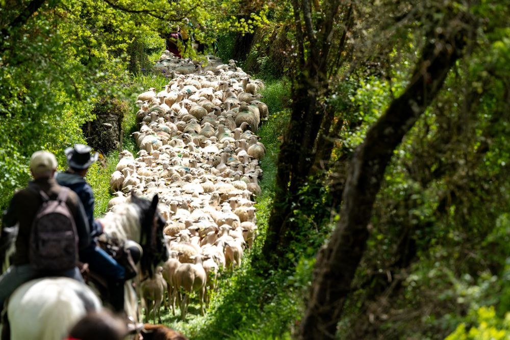 JB Dos Ramos © Département du Lot