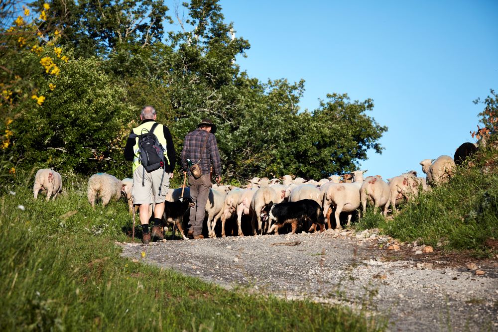 © Département du Lot