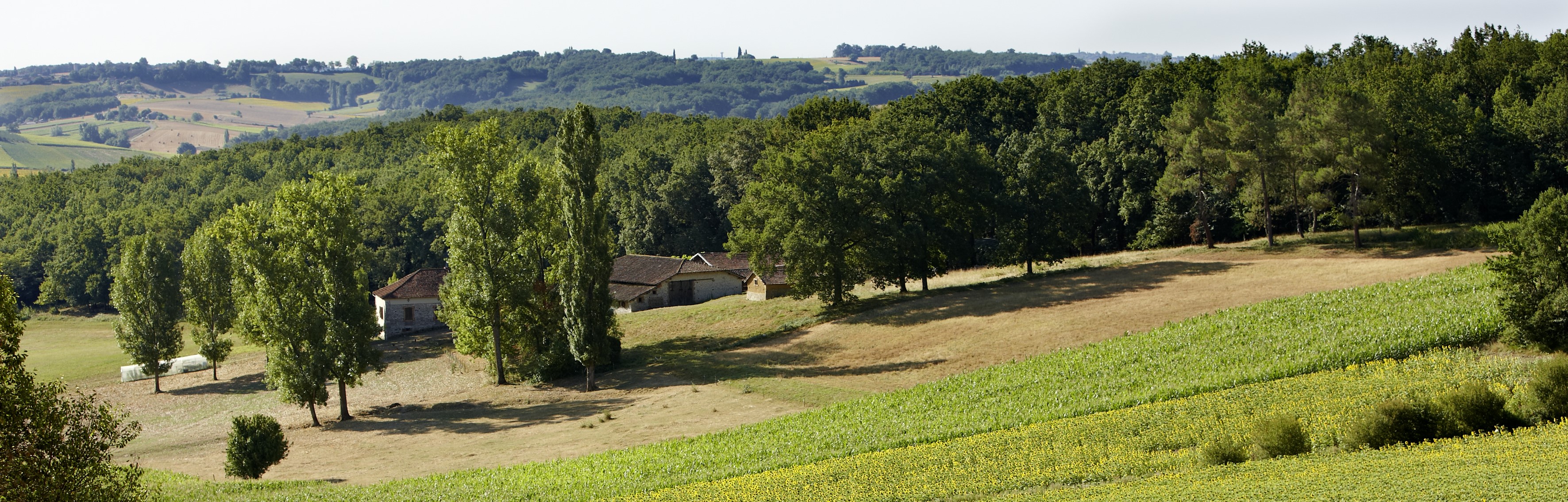 Nelly Blaya, 2009 (c) Département du Lot