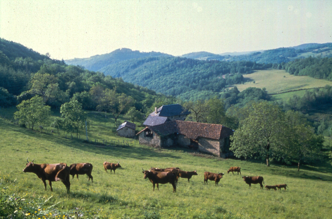 Anonyme, 2002 (c) Caue du Lot