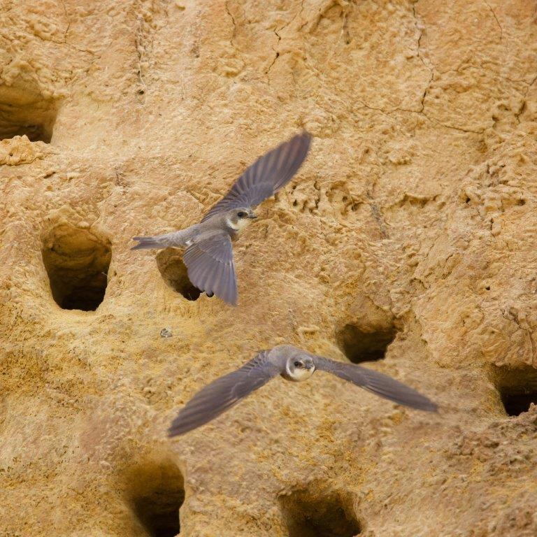 Stephen Noulton ©Pexels