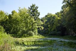 Couasne de Floirac (Espace Naturel Sensible)