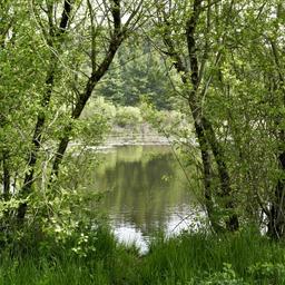 Landes du Frau Dégagnazès (Espace Naturels Sensibl...