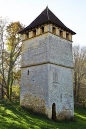 demeure-pigeonnier dite Tour de Labio
